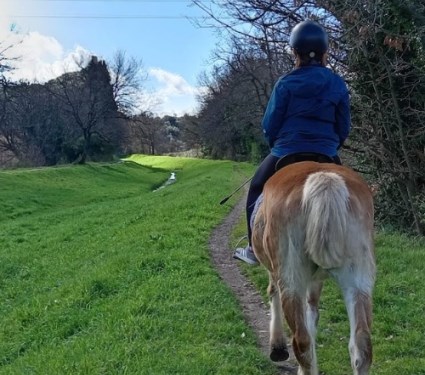 l'empatia con il proprio cavallo